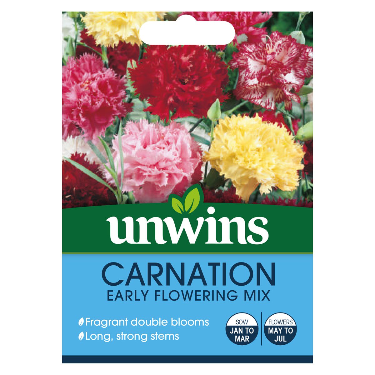 5051618010504 1 Carnation Early Flowering Mixed Seeds.jpg